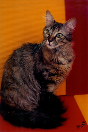 Ronja