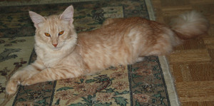 Hester